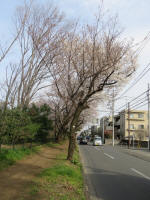 0525_1008s200322.jpg