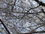 0526_1008s200322.jpg