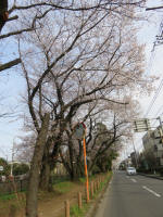 0534_1005s200322.jpg