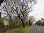 0550_999s200322.jpg