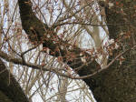0551_999s200322.jpg