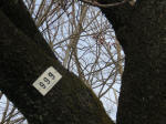 0552_999s200322.jpg