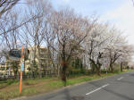 0553_998s200322.jpg