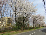 0556_997s200322.jpg