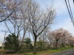 0575_988s200322.jpg