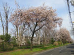0578_987s200322.jpg