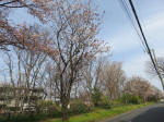 0584_984s200322.jpg