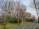 0590_981s200322.jpg