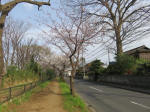 0593_979s200322.jpg
