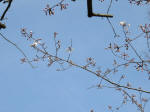 0594_979s200322.jpg