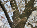 0600_977s200322.jpg