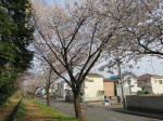 0612_972s200322.jpg
