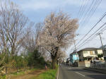 0621_966s200322.jpg