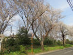 0624_965s200322.jpg