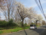 0627_964s200322.jpg
