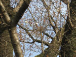 0634_956s200322.jpg