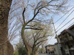 0636_954s200322.jpg