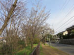 0654_ks18s200322.jpg