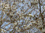 0655_ks18s200322.jpg