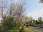 0663_ks17s200322.jpg