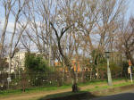 0675_931s200322.jpg