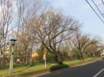 0678_930s200322.jpg
