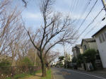 0681_929s200322.jpg