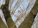 0682_929s200322.jpg