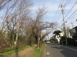 0684_927s200322.jpg