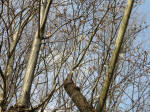 0685_927s200322.jpg