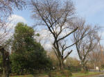 0694_918s200322.jpg