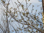 0702_ks12s200322.jpg