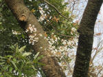 0714_902s200322.jpg