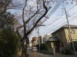0722_897s200322.jpg