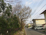 0725_894s200322.jpg