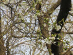 0726_894s200322.jpg