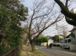 0731_888s200322.jpg
