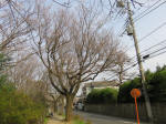 0734_886s200322.jpg