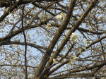 0738_883s200322.jpg