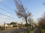 0788_188s200322.jpg