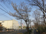 0794_179s200322.jpg
