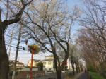0800_173s200322.jpg
