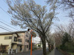 0803_170s200322.jpg