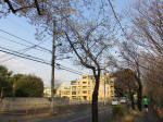 0825_120s200322.jpg