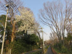 0836_108s200322.jpg