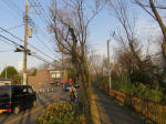 0848_102s200322.jpg