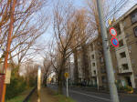 0854_1018s200322.jpg