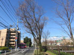 0889_646s200324.jpg