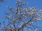 0890_646s200324.jpg
