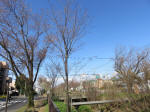 0892_ks22s200324.jpg